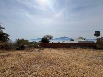 Lote Torres