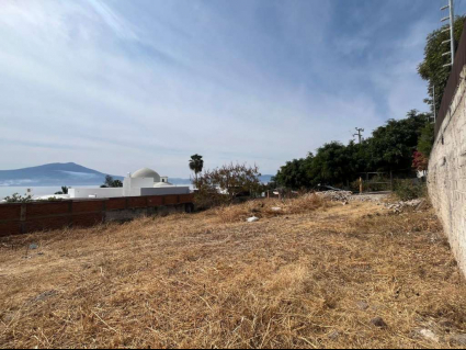 Lote Torres