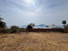 Lote Torres
