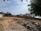 Lote Torres