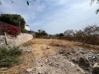 Lote Torres