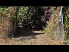 5-IMG_3271
