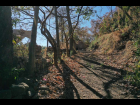 8-DJI_0989