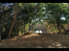 12-DJI_0986
