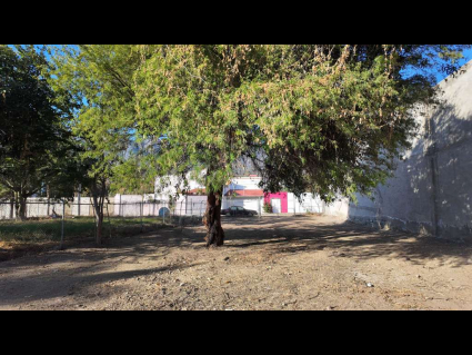 Ajijic-Lote-La-Cristina-LOTE-WEST-AJIJIC-03