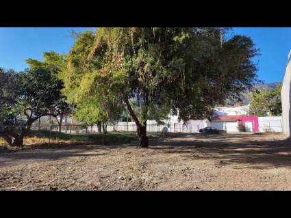 Ajijic-Lote-La-Cristina-LOTE-WEST-AJIJIC-02