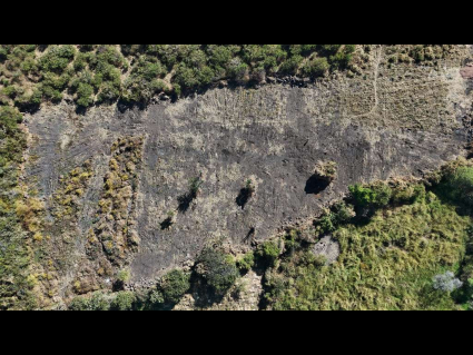DJI_20241024211858_0766_D