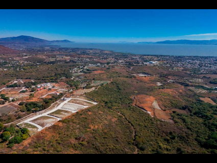 Los-pinos-lot-05