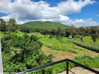 OWNER'S-PHOTO-GREEN-VIEW-2