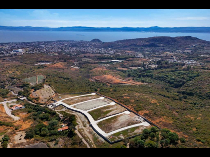 Los-pinos-lot-03