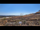 Los-pinos-lot-D59