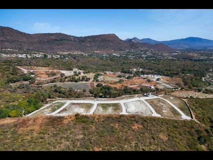Los-pinos-lot-09