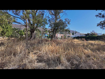 Chapala-San-Nicolas-De-Ibarra-Fairway-Lot-02