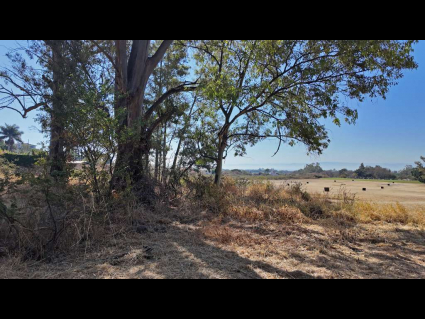 Chapala-San-Nicolas-De-Ibarra-Fairway-Lot-04