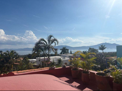 view