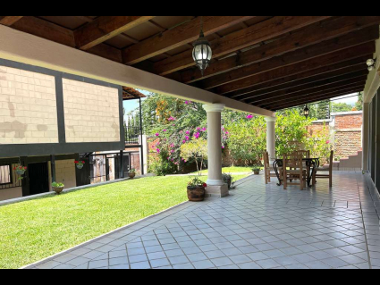 Backyard - South Facing