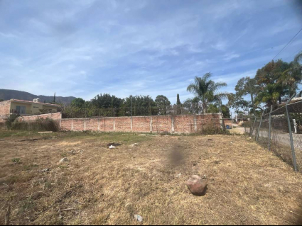 Lote Ulloa