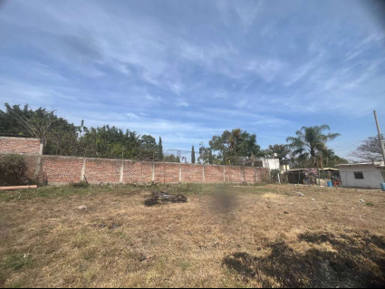 Lote Ulloa