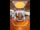 16-LA-MADRIGUERA-TLAJOMULCO-BAJA