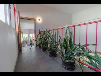 0F7A8445 copia