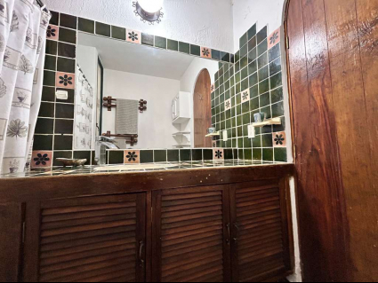 Casa-bugambilias-home-for-sale-ajijic-west (6)