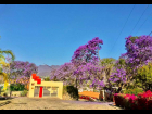 14-.CASA BARRAGA
