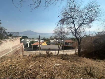 Lote Lara