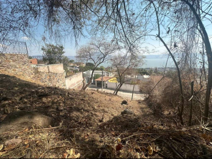 Lote Lara