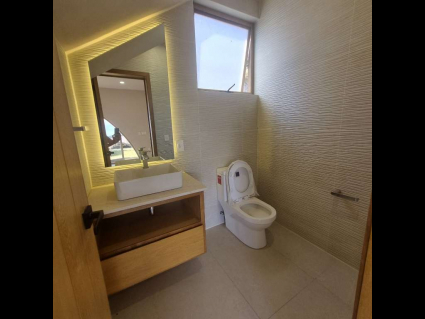 Baño visita