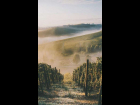 IMG-20250506-WA0022
