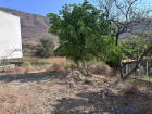 WhatsApp Image 2025-05-20 at 16.17.09 (1)