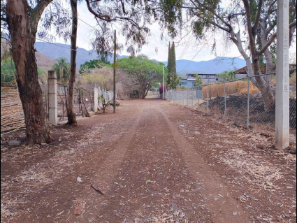 Ajijic-Border-Lot-04-Street