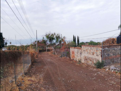 Ajijic-Border-Lot-05-Street