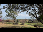 7-IMG_4463
