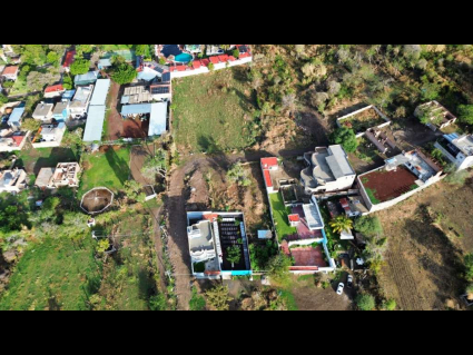 Lote Ceja