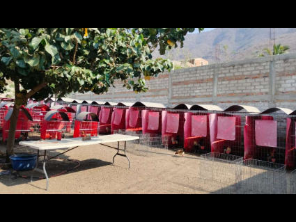 Lote Ceja