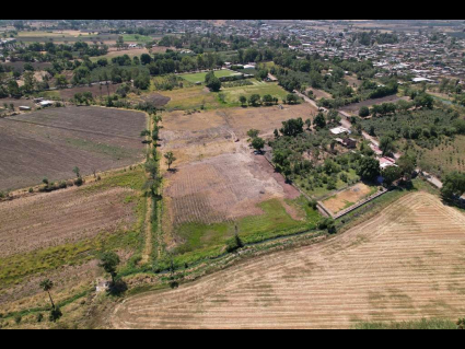 DJI_0674