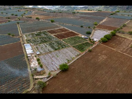 Sin título-1_0000_DJI_20250620025030_0669_D