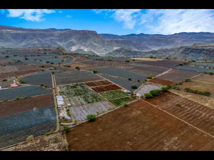 Sin título-1_0001_DJI_20250620024934_0667_D