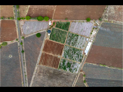 Sin título-1_0006_DJI_20250620024152_0643_D