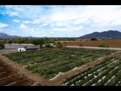Sin título-1_0015_DJI_20250620025707_0684_D