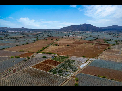 Sin título-1_0005_DJI_20250620024412_0651_D