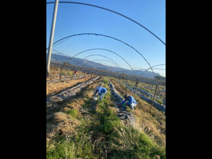 Imagen de WhatsApp 2025-07-04 a las 17.52.40_16f4287a