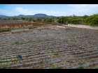 Sin título-1_0013_DJI_20250620025931_0691_D