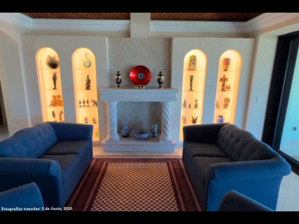 13---Museum-Quality-Display-Wall-in-Livingroom