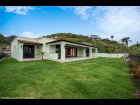 17---Spacious-Level-Garden-for-Pets-or-Pool