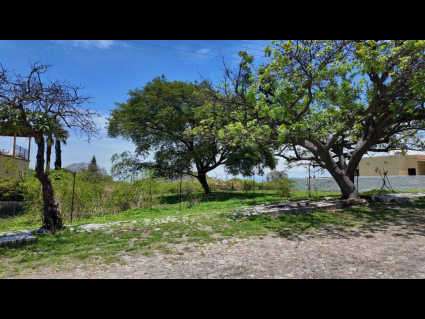 Chapala-Brisas-de-Chapala-Lote Arthur-01