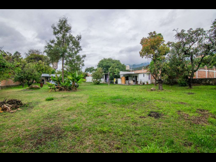 Ajijic-Terreno-Oportunidad-Ajijic-15-Yard
