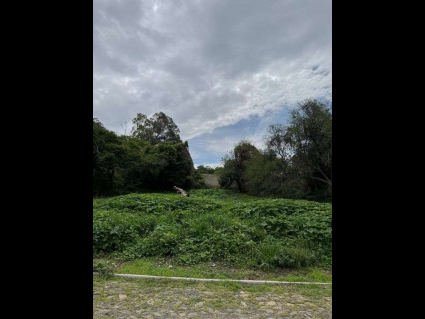 Monte lago 1