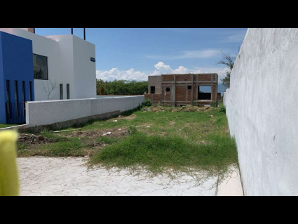 Imagen de WhatsApp 2025-07-30 a las 11.47.16_9b850f23